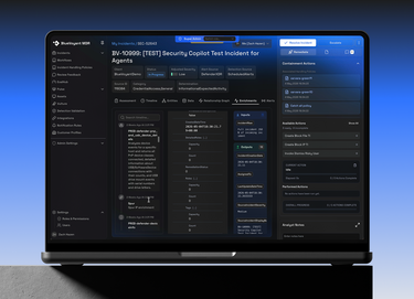 Bluevoyant platform and solutions