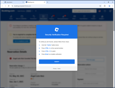 Security verification picture 1