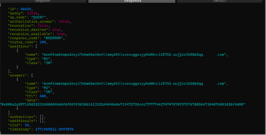 Figure 10 captured dns