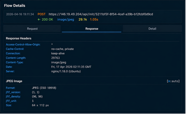 Figure 9 Network traffic capture via Adversary in the Middle Ait M proxy
